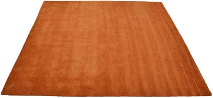 Hand Knotted Loom Wool ECO-Friendly Area Rugs - 8'x8', Square, Orange Color, Solid Plain Design, High Pile Thick Handmade Anti Skid Area Rugs for Living Room, Bed Room (L00111)