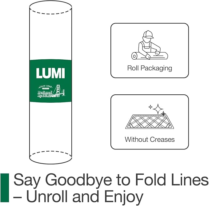 LUMI Ultra Thin Indoor Door Mat for Entrance 32"x48", Non Slip Entryway Mat, Low Profile Doormat, Unique Herringbone Design Carpet for Inside, Patio, Porch, Dark Gray