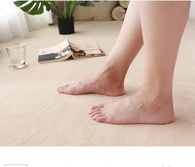Soft Cashmere Area Rug Luxury Bedside Carpet Bedroom Living Room Mats Solid Color Children's Room Rugs Runner Carpets Indoor Mats Home Décor White Gray Red 2.6' X 6.5'