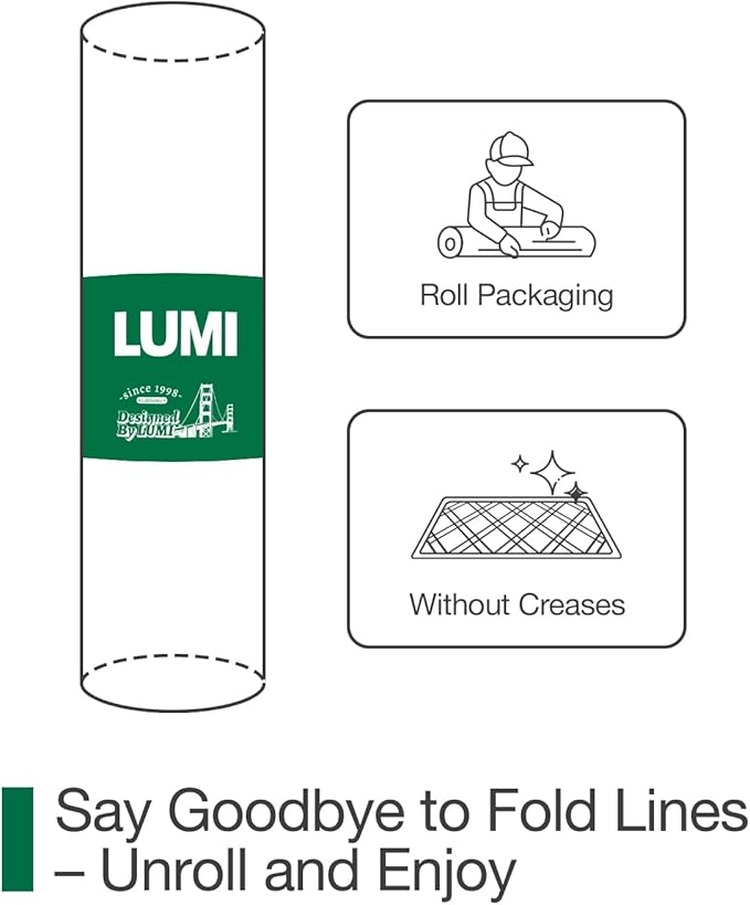 LUMI Entryway Floor Mat 24x36, Deep Mud Removal and Water Absorption, Dustproof and Wear-Resistant, Easy to Clean, Suitable for Home/Office, Dark Grey
