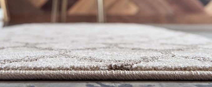 Rugs.com Lattice Collection Rug – 20 Ft Runner Beige Medium Rug Perfect for Hallways, Entryways