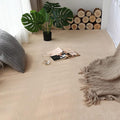 Soft Cashmere Area Rug Luxury Bedside Carpet Bedroom Living Room Mats Solid Color Children's Room Rugs Runner Carpets Indoor Mats Home Décor White Gray Red 5' X 5'