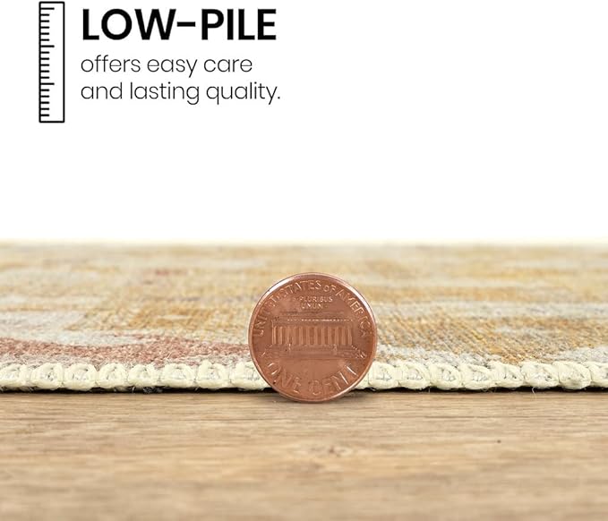 GLN Rugs Traditional Collection - Machine Washable Area Rug, Traditional Washable, Non Slip, Low Pile Chenille Rug, Living Room, Bedroom, Kitchen Rug (6' x 9' Sand/Light Gray)