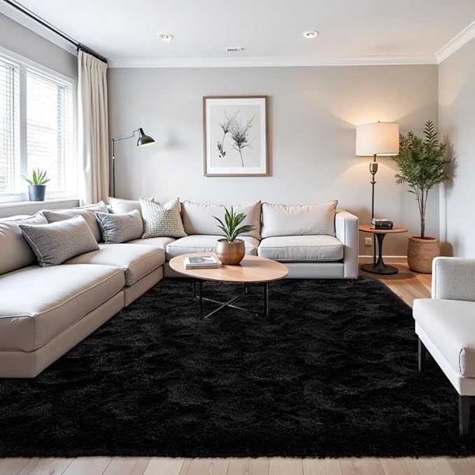 Beglad Fluffy Area Rugs 4x6 Feet, Modern Minimalist Style Shag Rugs, Non-Slip Indoor Carpet Soft Rugs for Bedroom, Living Room & Kids Room, Black