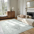 Area Rug 5x7,Boho Vintage Oriental Washable Rugs,Collapsible Area Rug for Bedroom, Entryway, Kitchen, Bathroom