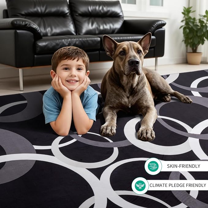 YIHOUSE 6x9 Ft Area Rugs, Concentric Circle Carpet Washable Rug, Black and White Geometric Design Rug for Spacious Living Rooms, Master Bedrooms, Dining Room, Home Office Decor, Nonslip Non-Shedding