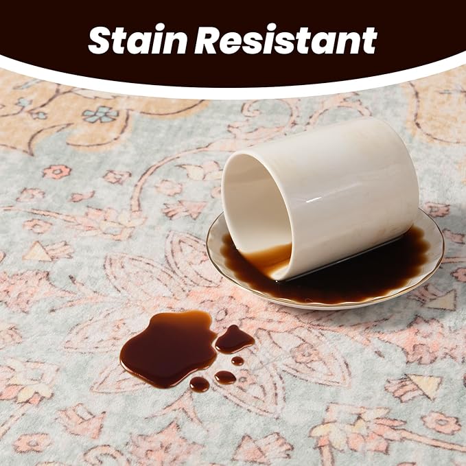 Area Rug - 9x12 Large Dining Room Rug Soft Living Room Mat, Vintage Washable Indoor Floor Throw Carpet for Bedroom, Playroom, Home Office (Cinnamon)