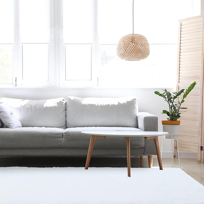 duduta White Soft Fluffy Rug 4x6 ft, Shag Fuzzy Plush Rectangle Carpet for Bedroom Nursery Living Room Home Decor