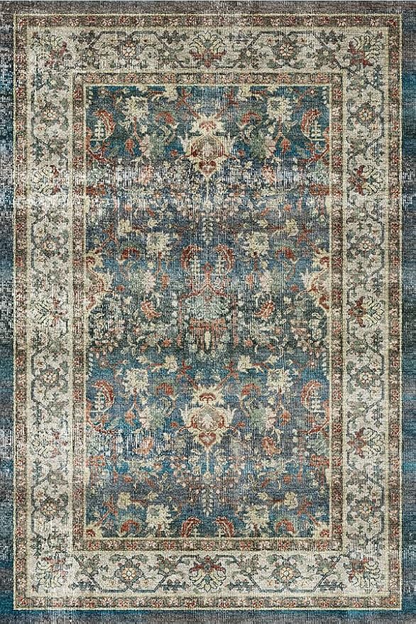 Dripex Vintage Collection Washable Area Rug - 2x3 Door Mat Small Entryway Rug Distressed Non-Slip Low-Pile Floor Carpet for Indoor Front Entrance Kitchen Bathroom Living Room Bedroom