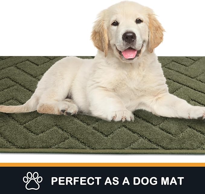 PURRUGS Dirt Trapping Door Mat 20" x 31.5", Non-Slip Machine Washable Entry Rug, Shoe Scraper, Dog Doormat, Super Absorbent Welcome Mat for Front & Back Door, Muddy Wet Shoes & Paws, Sage Green