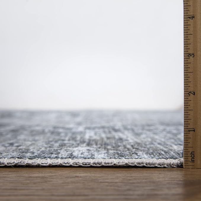 Bloom Rugs Caria Washable Non-Slip 6x9 Rug - Gray/Dark Blue Traditional Area Rug for Living Room, Bedroom, Dining Room, and Kitchen - Exact Size: 6' x 9'