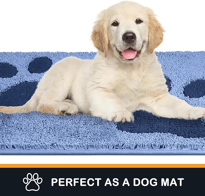 PURRUGS Dirt Trapping Door mat 33.5" x 59", Non-Skid/Slip Machine Washable Microfiber Entryway Rug, Dog Door Mat, Super Absorbent Welcome Mat for Muddy Wet Shoes and Paws, Light Blue