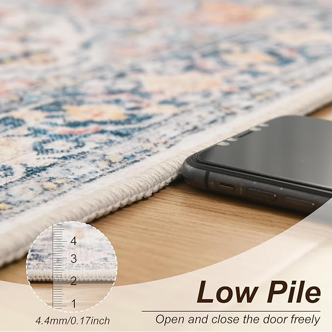 XWZO Entryway Area Rug 2x3ft — Soft Vintage Low Pile Non-Slip Door Floor Mat for Bedroom Bathroom Kitchen Laundry, Spill Resistant Washable Small Indoor Carpet for Doorway Entrance, Colorful