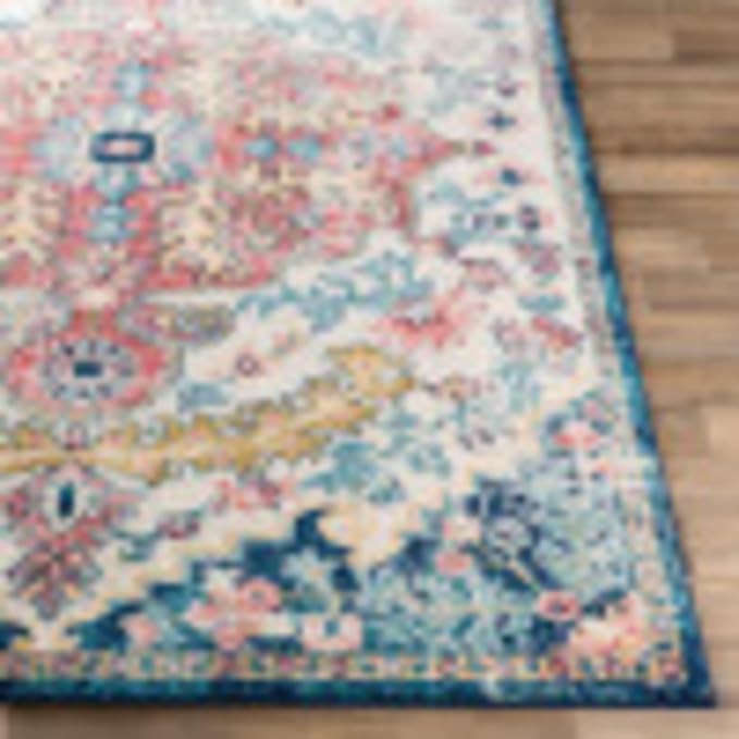 Livabliss Area Rugs - 3x7 Odelia Vintage Boho Aqua Burgandy Blue Runner Area Rug for Living Room Bedroom - Floral Medallion Stain Resistant Carpet for Kitchen, Nursery, Office (2'7" x 7'3", Runner)
