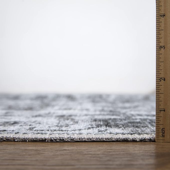 Bloom Rugs Caria Washable Non-Slip 8x10 Rug - Silver/Dark Gray Traditional Area Rug for Living Room, Bedroom, Dining Room, and Kitchen - Exact Size: 7'8" x 10'