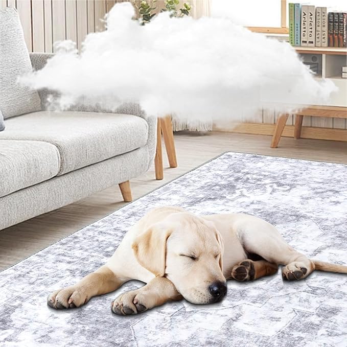 COMSLE 4x6 Rugs for Living Room Washable Area Rugs for Bedroom Faux Wool Distressed Throw Rugs Absorbent Non-Slip Floor Carpet for Indoor Kitchen Laundry Room Gray