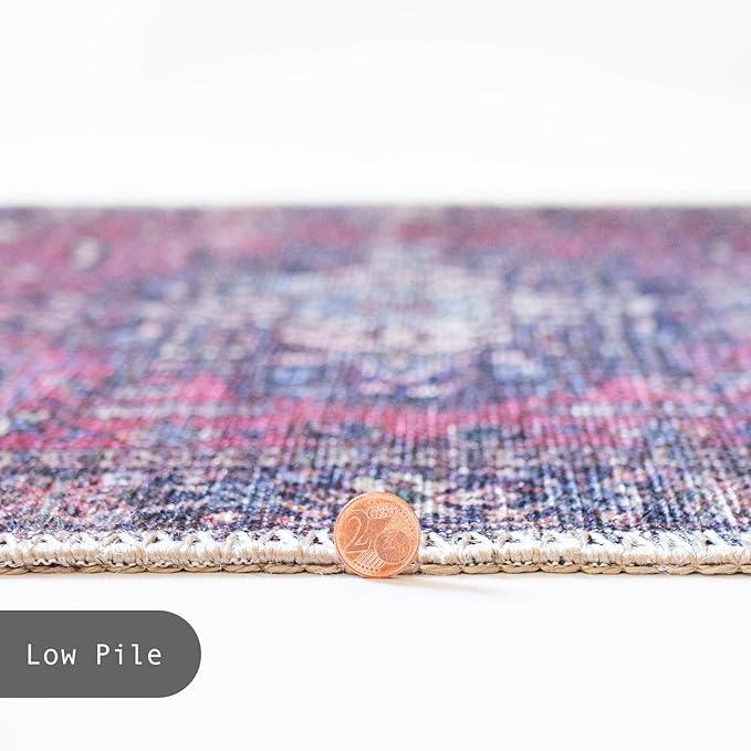 GLN Rugs Traditional Collection - Machine Washable Area Rug, Traditional Washable, Non Slip, Low Pile Chenille Rug, Living Room, Bedroom, Kitchen Rug (2' x 3' Multi Blue)