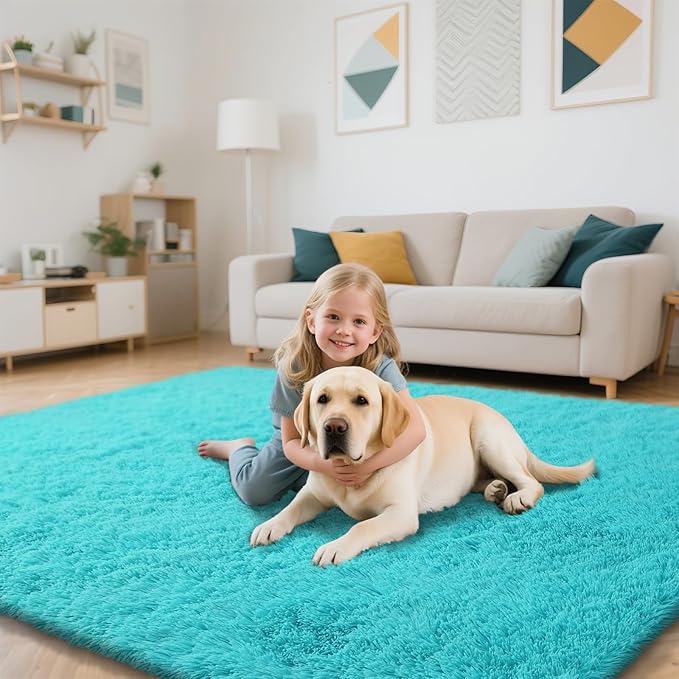 Teal Blue Rug Fluffy Rugs, 2x4 Teal Area Rugs for Bedroom, Soft Cute Baby Play Mat, Indoor Floor Carpet for Teen, Nursery, Preppy Dorm, Plush Aesthetic Bedside Rug
