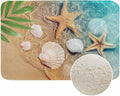 Palm Starfish Seashell Bath Mats for Bathroom Summer Beach Sea Sand Water Floor Bath Rugs Machine Washable Bathmat Carpet Rug Room Decor for Shower Floor 20 X 31 Inch Mat