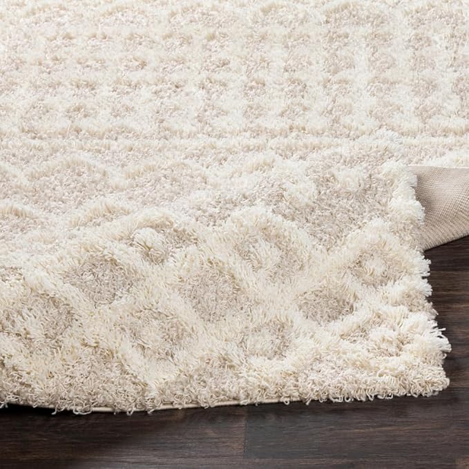Livabliss Hapsburg Moroccan Shag Runner Area Rug,2'7" x 16',Beige