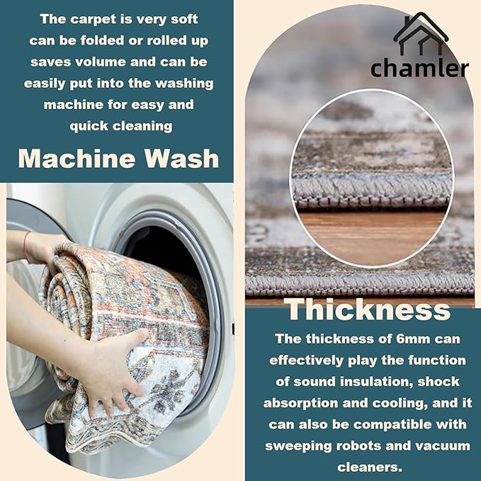 Washable Area Rug 10'x14' Boho Chic Medallion Distressed Design Non-Shedding Easy Care Ideal for High Traffic Areas in Rug for Living Room Bedroom Office Coffee Table Large Carpet