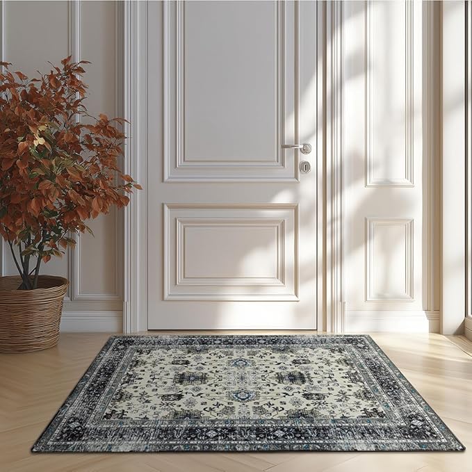 Area Rug Non Slip Machine Washable Ultra Soft Living Room/Bedroom/Kitchen/Outdoor/Classroom White Gray, 2'×3'