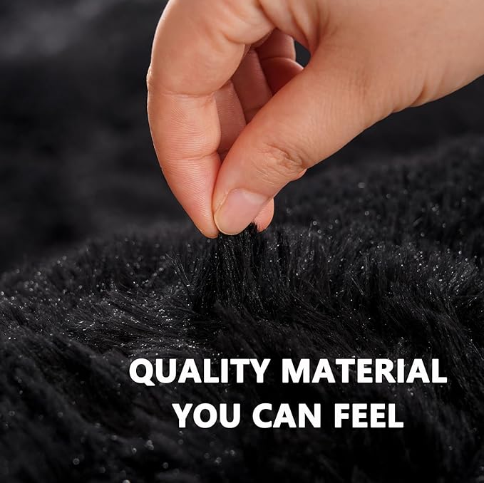 Beglad Fluffy Large Area Rugs 9x12 Feet, Modern Minimalist Style Shag Fuzzy Rugs, Non-Slip Indoor Carpet Soft Rugs for Kids Room, Bedroom & Living Room, Black