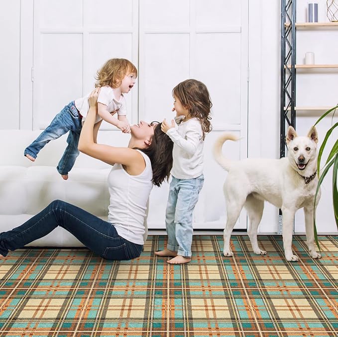 Area Rug Non Slip Machine Washable Ultra Soft Living Room/Bedroom/Kitchen/Outdoor/Classroom Plaid, 8'×10'