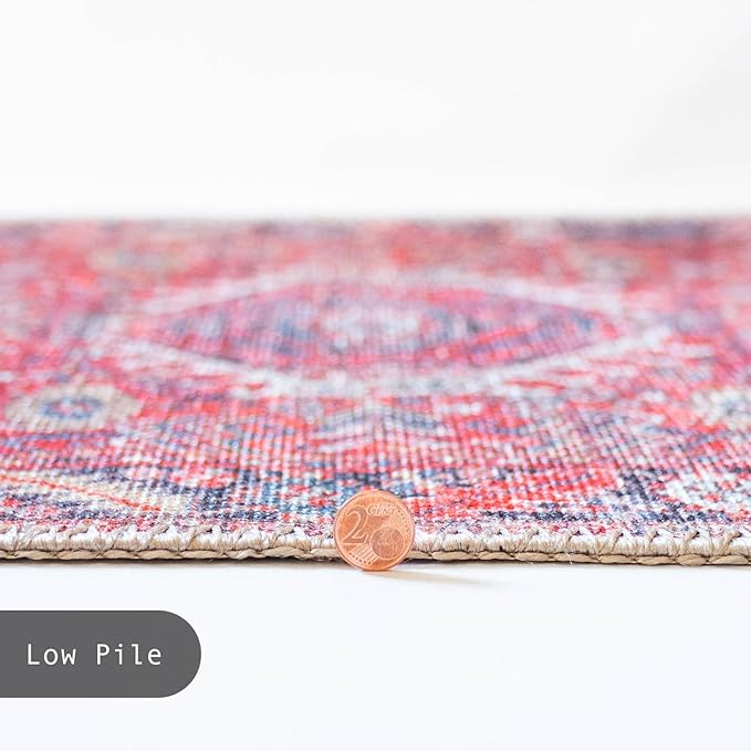 GLN Rugs Traditional Collection - Machine Washable Area Rug, Traditional Washable, Non Slip, Low Pile Chenille Rug, Living Room, Bedroom, Kitchen Rug (2' x 3' Multi Red)
