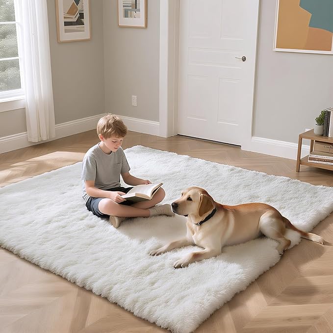 Fluffy Rug Shaggy Area Rug, White 2x4 Area Rugs for Bedroom, Small Bedside Rug, Soft Fluffy Shaggy Entryway Throw Rugs for Living Room Bedroom Kids Room Home Decor