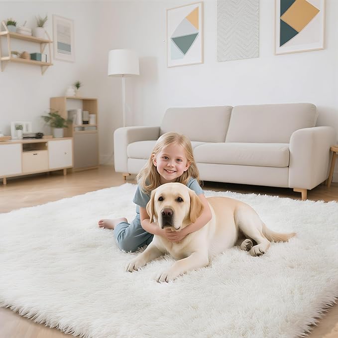 Fluffy Rug Shaggy Area Rug, White 2x4 Area Rugs for Bedroom, Small Bedside Rug, Soft Fluffy Shaggy Entryway Throw Rugs for Living Room Bedroom Kids Room Home Decor