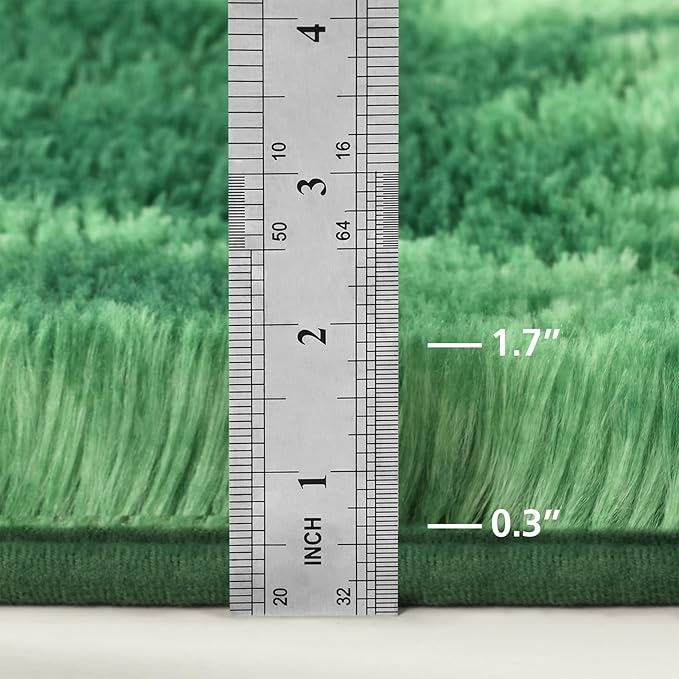 Large Shag Area Rugs 8 x 10, Plush Fuzzy Rugs for Living Room, Ultra Soft Fluffy Furry Rug for Bedroom, Indoor Carpet Nursery Rugs for Kids Room Home Decor, Tie-Dyed Emerald Green