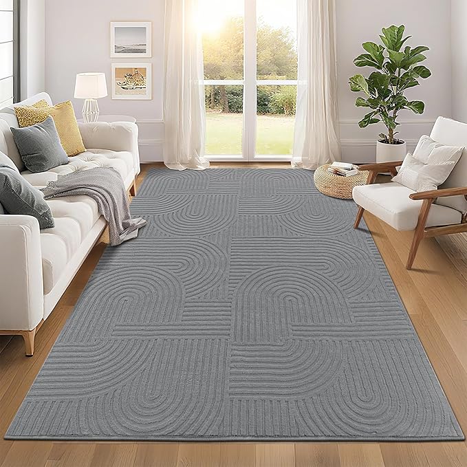 Pauwer 6x9 Washable Area Rugs for Living Room Modern Grey Solid Color Soft Fluffy Rugs for Bedroom Non Slip Boho Accent Indoor Mat Floor Carpet Cover for Kids Room Dining Room Kitchen Office