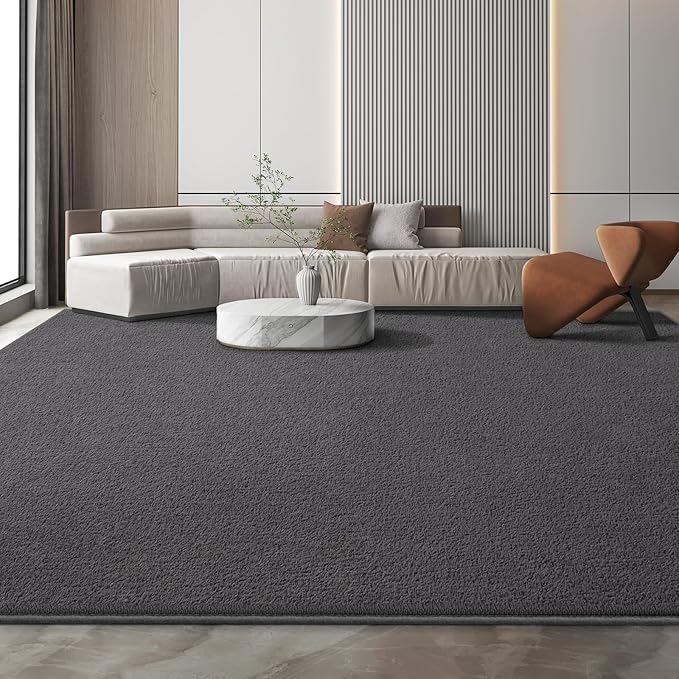 Large Modern Area Rugs for Living Room Bedroom, 5x8 Feet Dark Grey Ultra Soft Solid Thickened Memory Foam Indoor Minimalist Carpets, Non-Slip Comfy Rugs for Boys Girls Nursery Kids Room Home Décor
