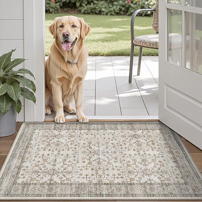 LUMI Indoor Thin Door Mat, 18x30 Washable Small Inside Doormat, Non Slip Low Pile Oriental Floor Carpet, Vintage Distressed Area Rug for Front Door,Entrance,Bedroom, Celadon