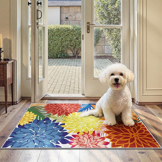 2x3 Colorful Washable Small Rug Tropical Botanical Modern Floral Indoor Chenille Door Mat Carpet Non Slip for Patio, Entry Way, Entrance, Porch, Rainbow