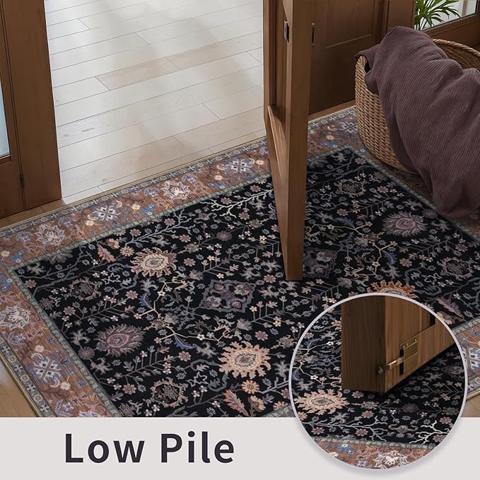 Ciicool Small Area Rug, 2x3ft Boho Black Rug, Ultra Soft Entry Rugs for Entryway, Non-Slip Washable Rugs Oriental Low-Pile Indoor Mat Floor Carpet for Entrance Bedroom Kitchen Bathroom Foyer Decor