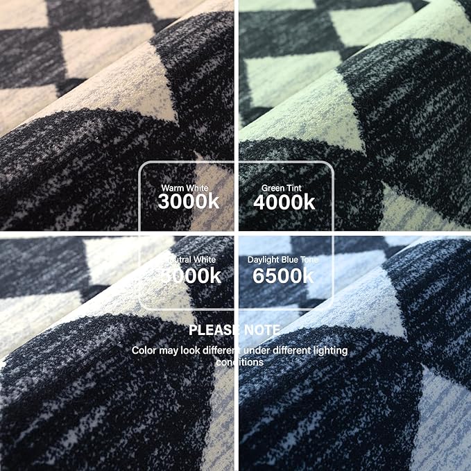 Lahome Moroccan Trellis Area Rug - 2x3 Printed Small Black Checkered Entryway Rug Non Slip Kitchen Mat, Stain Resistance Indoor Modern Floor Soft Throw Carpet for Front Door Bathroom Sink Bedroom