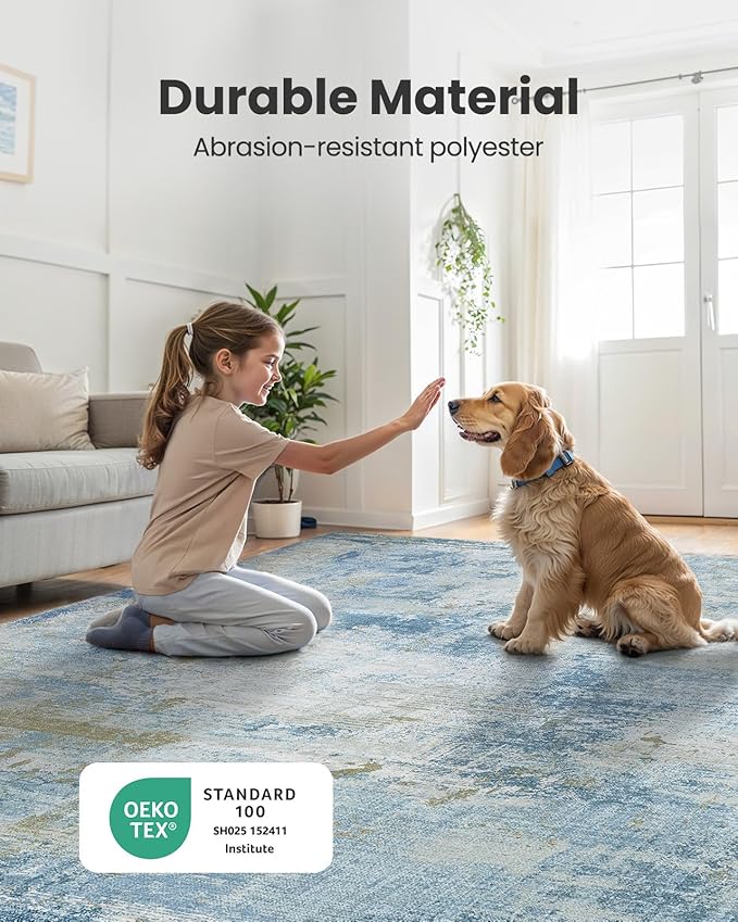 6x9 Area Rugs for Living Room, Modern Abstract Washable Rug with Non-Slip Backing & Low Pile Indoor Carpet for Nursery Room, Bedroom and Dinning Room, Light Blue