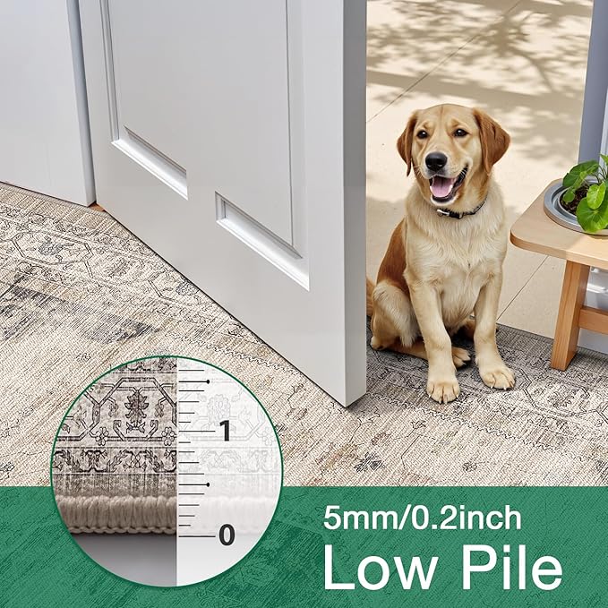 LUMI 8x10 Washable Area Rug for Living Room, Ultra Soft Traditional Rugs Non Slip with Rubber Backing, Low Profile, High Traffic, Stain Resistant Carpets, Ideal for Bedroom, Dining Room, Indoor