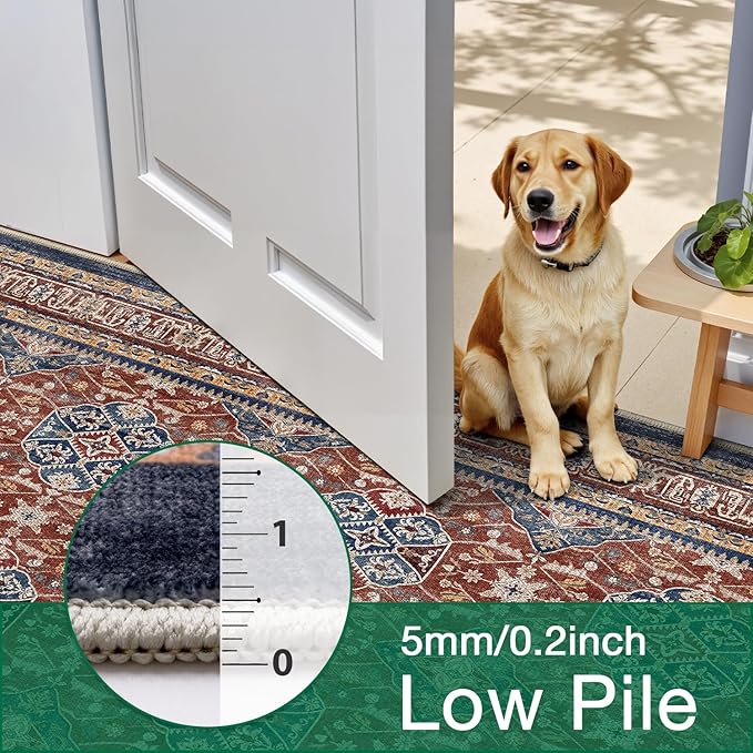 LUMI Washable Area Rug 8x10 for Living Room, Ultra Soft Stain Resistant Carpet with Non Slip Rubber Backing, Non-Shedding Low Pile Rugs for Bedroom, Dining Room, Indoor, Office