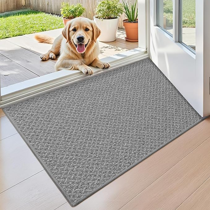 Color&Geometry Small Ultra Thin Indoor Door Mat Non Slip Rubber Backed Dirt Trapper 17"x30"(Rolled-up NO Creases), Rugs for Entryway, Front Door Mat Indoor Washable Low-Profile Entry Mat, Light Grey