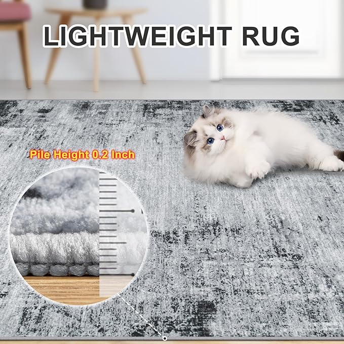 Area Rugs Living Room Rug - 5x7 Washable Modern Abstract Soft Neutral Non-Slip Carpet Large Indoor Floor Thin Carpets for Bedroom Dining Room Farmhouse Nursery Home Office Black
