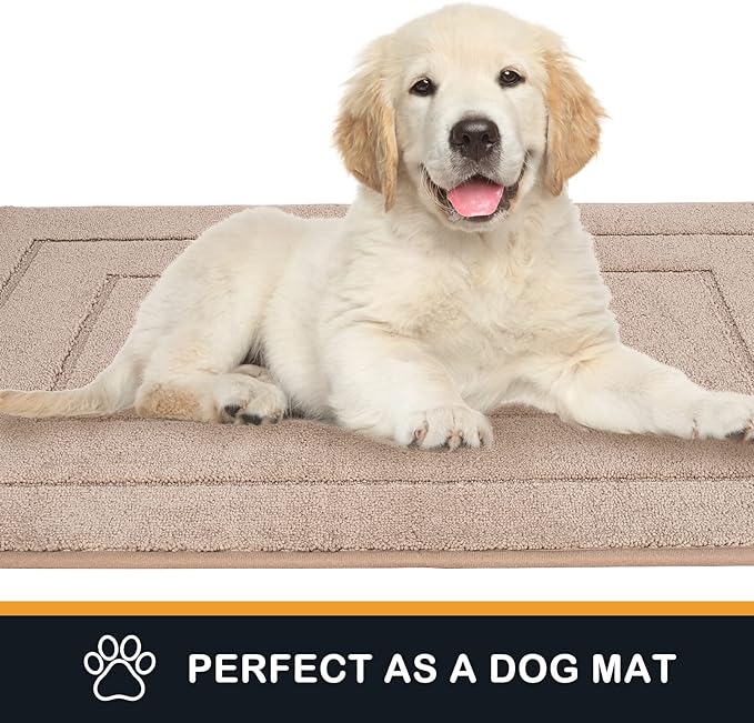 PURRUGS Dirt Trapping Door Mat 34" x 59", Non-Slip/Skid Machine Washable Entryway Area Rug, Dog Doormat, Super Absorbent Welcome Mat for Muddy Wet Shoes and Paws, Beige