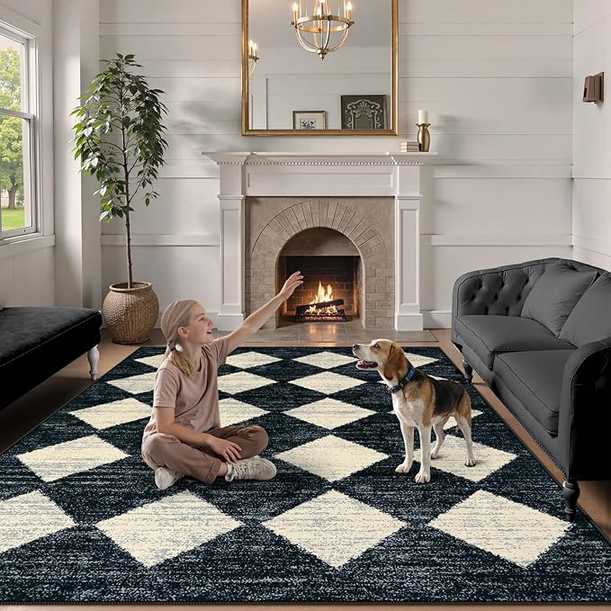 Lahome Machine Washable Area Rugs for Bedroom Aesthetic, 4x6 Soft Living Room Area Rug Non Slip Entryway Rugs, Moroccan Trellis Printed Black and White Indoor Kitchen Carpet for Bedside Office
