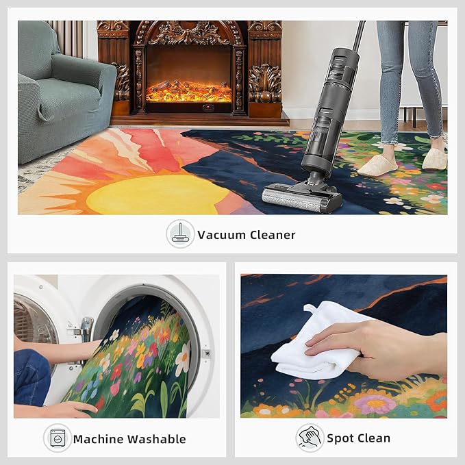 Boho Sun Area Rugs 6x9ft, Minimalist Line Fluffie Rugs for Living Room, Geometric Solar Nursery Rug with Under Rug Non Slip Tape for Bedroom Kids Room