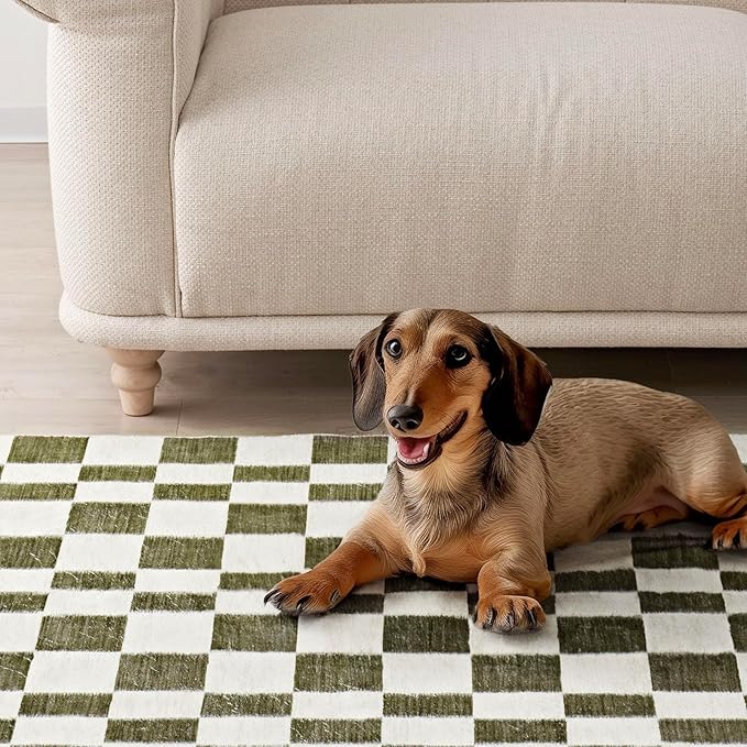 EVERGRACE Checkered Plaid Area Rug 3x5, Soft Fuzzy Faux Wool Rugs Washable Anti Slip Rugs Small Rug Carpet for Entryway Bedroom Living Room Hallway Kitchen Dining Room and Laundry Room, Olive Green