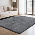 Fluffy Rug Shaggy Area Rug, Dark Grey 5x8 Area Rugs for Bedroom, Small Bedside Rug, Soft Fluffy Shaggy Entryway Throw Rugs for Living Room Bedroom Kids Room Home Decor