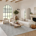 Nourison Home Versatile Silver Grey 7' x 10' Area Rug - Easy Clean, Non Shedding, Bed Room, Living Room, Dining Room, Kitchen (7' x 10')