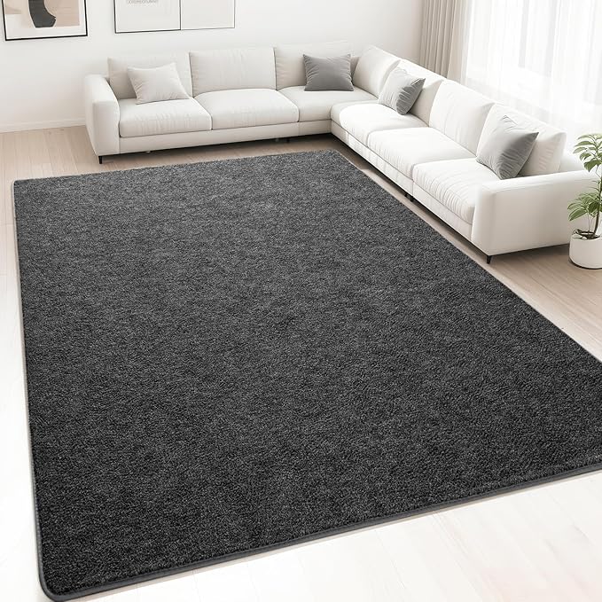 HQAYW 7x10 Large Area Rugs for Living Room Bedroom, Modern Thickened Memory Foam Soft Rug, Low Pile Minimalist Washable Non Slip Carpets for Kids Girls Boys Nursery Dorm Home Decor, Dark Grey